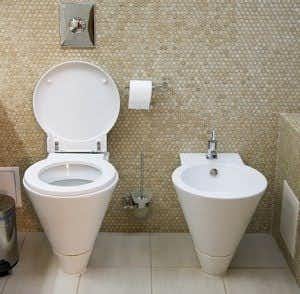 Would You Ever Use a Bidet to Clean Your Bottom?