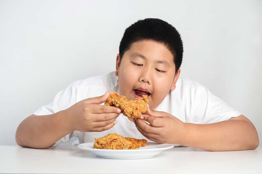 Schoolboy eating processed food, becoming obese, eat too much