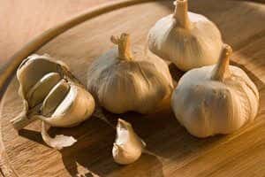 Heads and cloves of garlic
