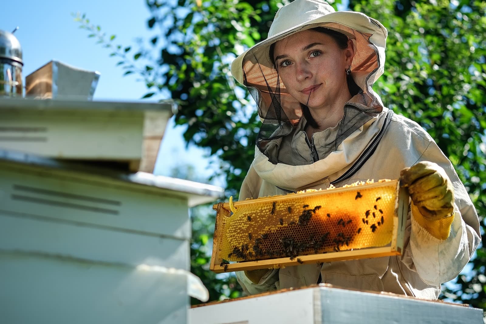 Should you dress like a beekeeper to save your skin?